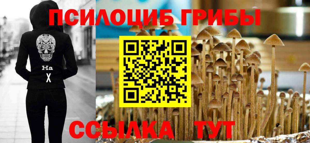 Галлюциногенные грибы Cubensis  магазин  наркотиков  Вход с VPN  Ярцево  Псилоцибиновые грибы ЛСД 